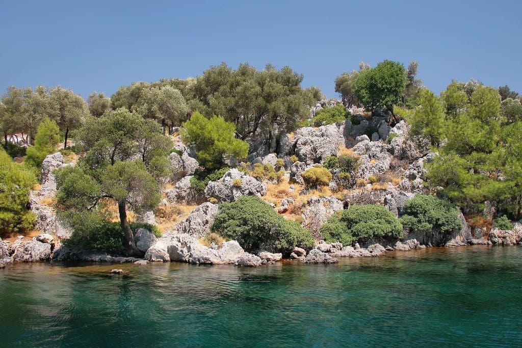 Bodrum koyu